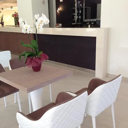 Hotel Hotel Holiday